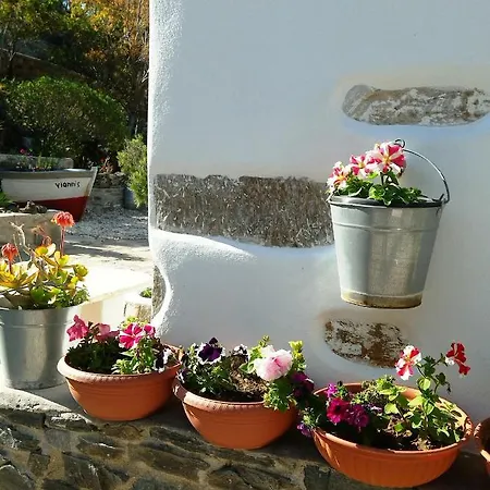 Traditional Near Paroikia *